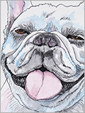 dogi2.jpg