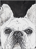 dogj2.jpg