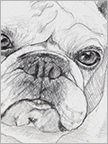 dogk2.jpg